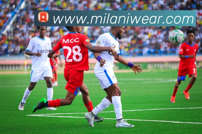 多媒体互动体验